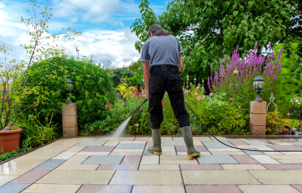 Best Pre-Holiday Cleaning  in Goodview, MN
